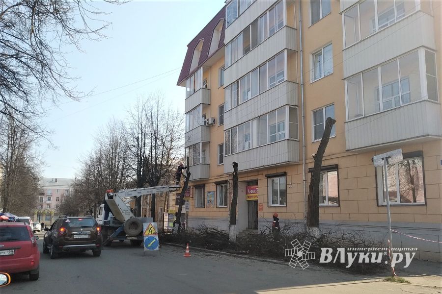 На Пионерской пилят деревья (ФОТО)