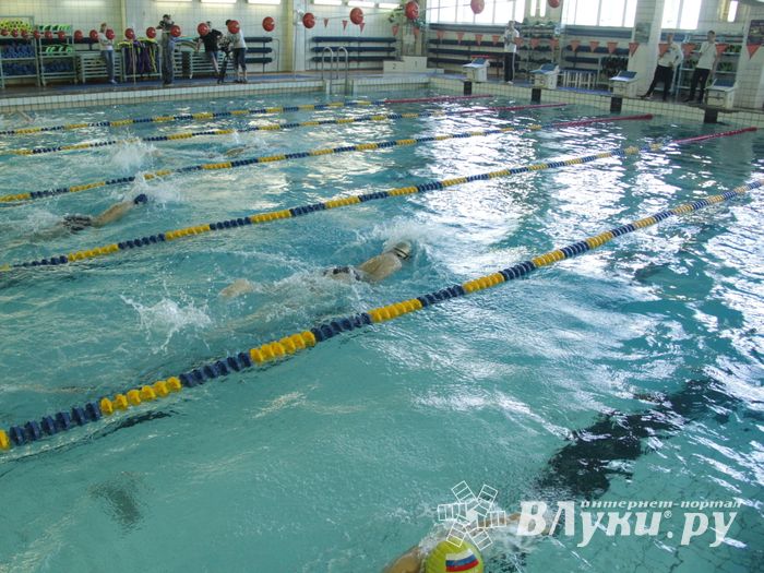 В Великих Луках прошел Чемпионат и Кубок города по плаванию (фото)