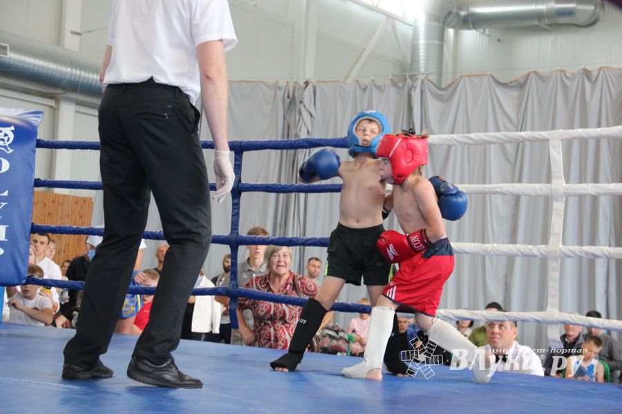 1-й Фестиваль боевых искусств состоялся в Великих Луках  (ФОТО)