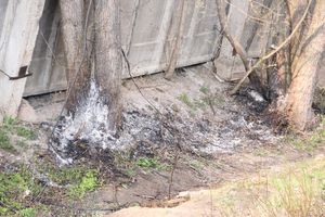 Подробности пожара на мебельном (ФОТО)