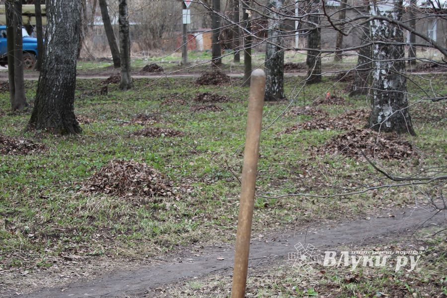 Городские СМИ провели субботник (ФОТО)