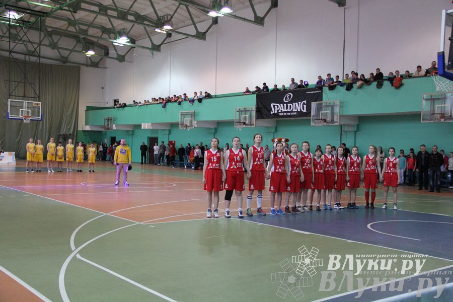 Чемпионат ШБЛ «КЭС-БАСКЕТ» сезона 2013-2014 гг. Псковской области