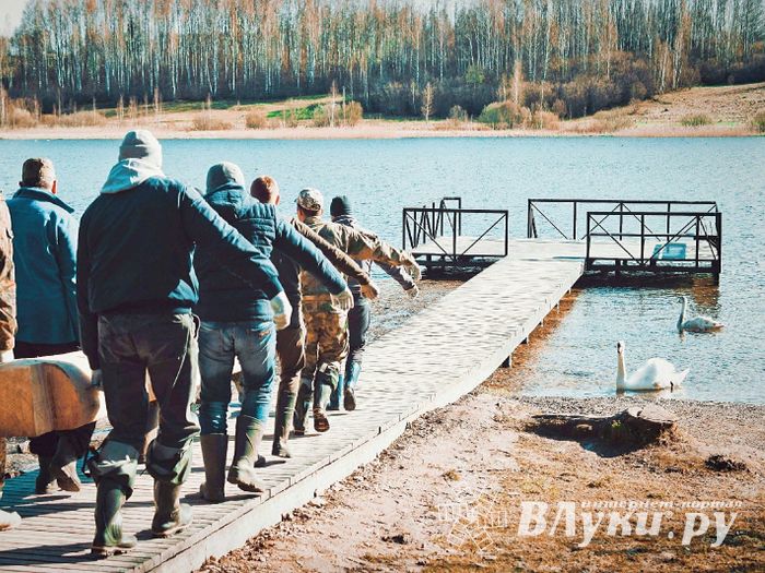 Часовню-купель в память о погибших великолукских паломниках освятили в Изборске