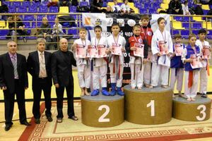 Великолучане привезли серебро с соревнований по каратэ (фото)