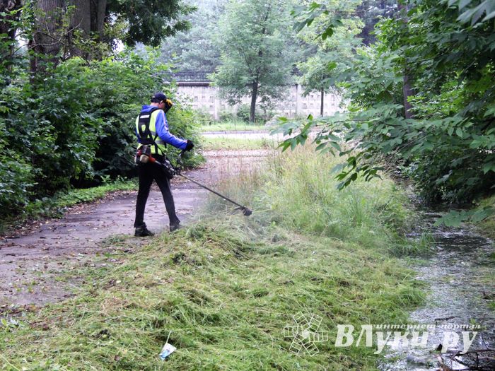В Великих Луках косят (ФОТО)