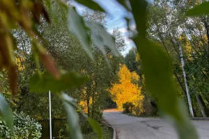 © ВЛуки.ру