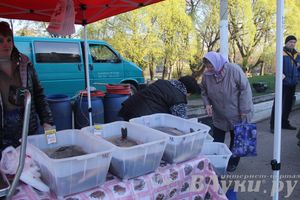 Традиционная весенняя ярмарка прошла в Великих Луках