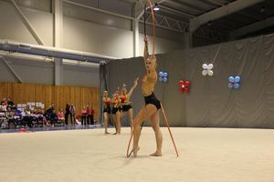 В Великих Луках прошли соревнования на Кубок Псковской области по художественной гимнастике (ФОТО)