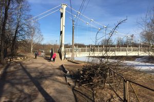 В УЖКХ Великих Лук объяснили спил деревьев возле пешеходного моста (ФОТО)