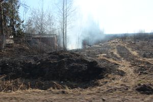 Великолукский район полыхает (ФОТО; ВИДЕО)