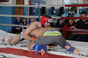 В Великих Луках прошел Чемпионат области по смешанному боевому единоборству (фото)