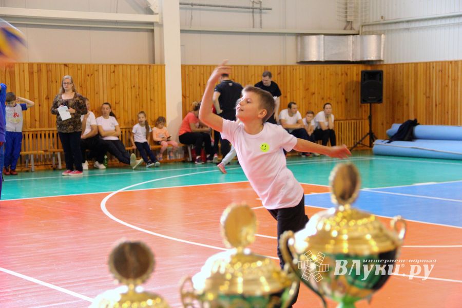 Великолучане одержали победу в зональном этапе «Папа, мама, я – спортивная семья» (ФОТО)