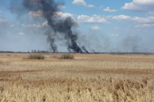 В Великих Луках вновь жгут траву (ФОТО)