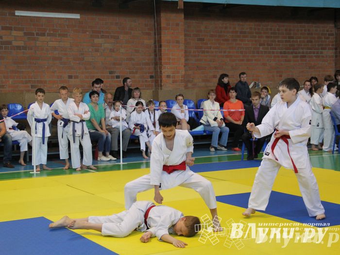 Великолучане стали победителями турнира по каратэ «Неприкосновенный запас, дети — Отчизны 2015» (фото)