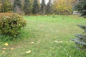 Ну, за что вас, собачники, любить... (фото)