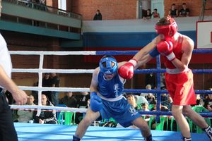 В Великих Луках прошел турнир по боксу памяти Е. Клевцова (ФОТО)