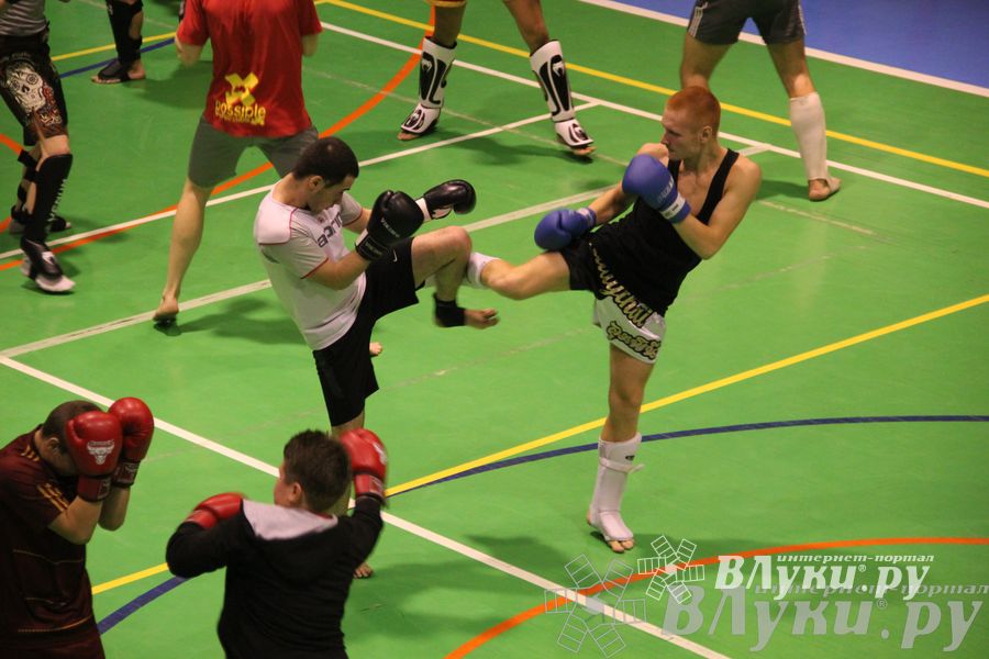 В Великих Луках прошел мастер-класс по кикбоксингу (фото)