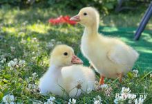 Погода предстоящей недели