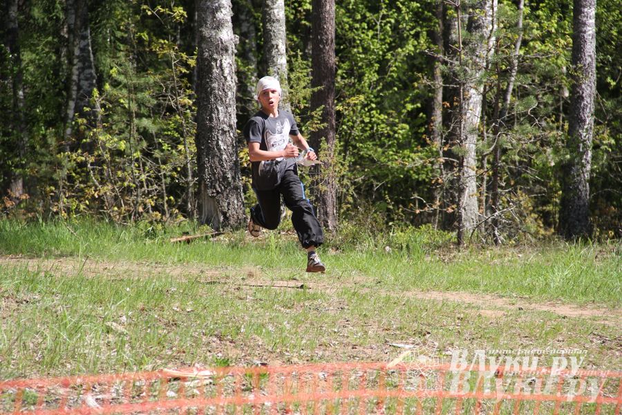 В Великолукском районе прошли массовые соревнований по спортивному ориентированию (фото)
