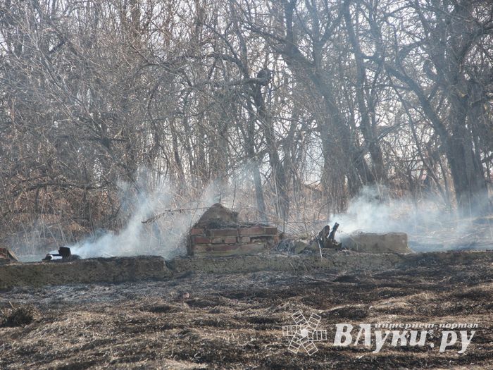 Великолукский район полыхает (ФОТО; ВИДЕО)