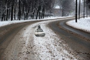 С первым снегопадом вас, коммунальщики Великих Лук!