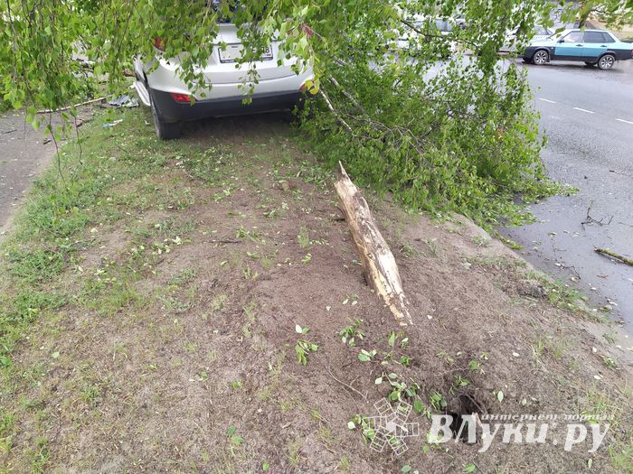 На пр-те Октябрьском произошло ДТП (ФОТО, ВИДЕО)