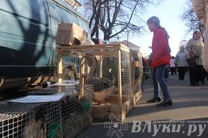 Традиционная весенняя ярмарка прошла в Великих Луках