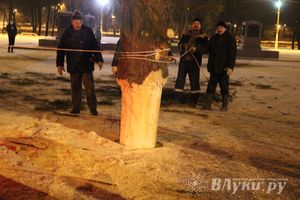 В Великих Луках установили новогоднюю елку (фото)