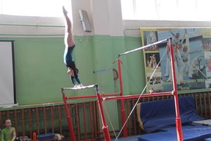 В Великих Луках проходит открытое первенство по спортивной гимнастике (ФОТО)(0+)