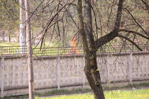 Фотофакт: не олимпийский огонь на стадионе «Великие Луки»