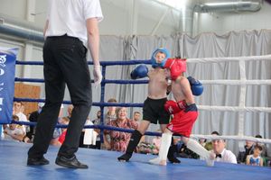 1-й Фестиваль боевых искусств состоялся в Великих Луках  (ФОТО)