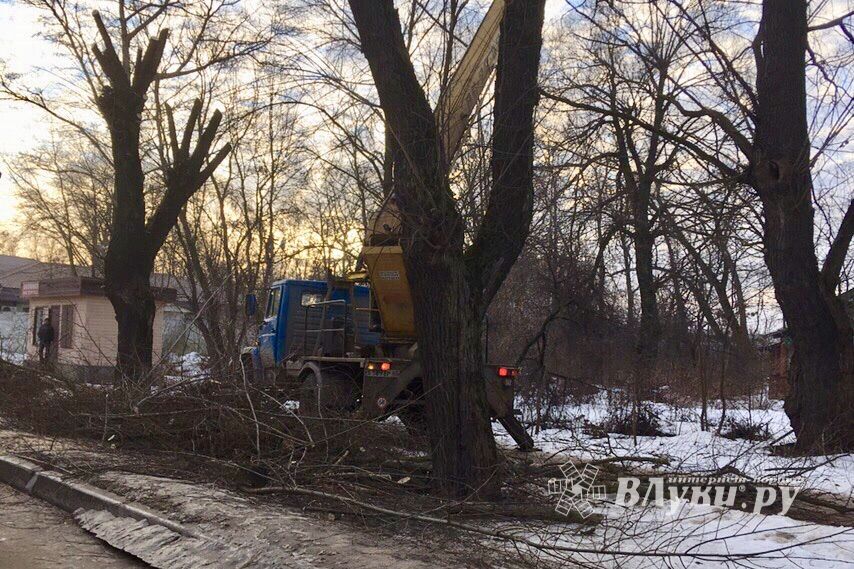 В Великих Луках удаляют угрожающие гражданам ветви (ФОТО)