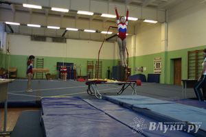 В Великих Луках состоялось Первенство по командной гимнастике (фото)