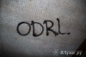 В Великих Луках состоялась презентационная игра «Дозор» (фото)