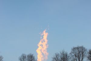 Великолукские пилоты присоединились к Рождественской фиесте «Яблоки на снегу» (ФОТО)