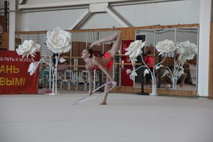 гимнастика