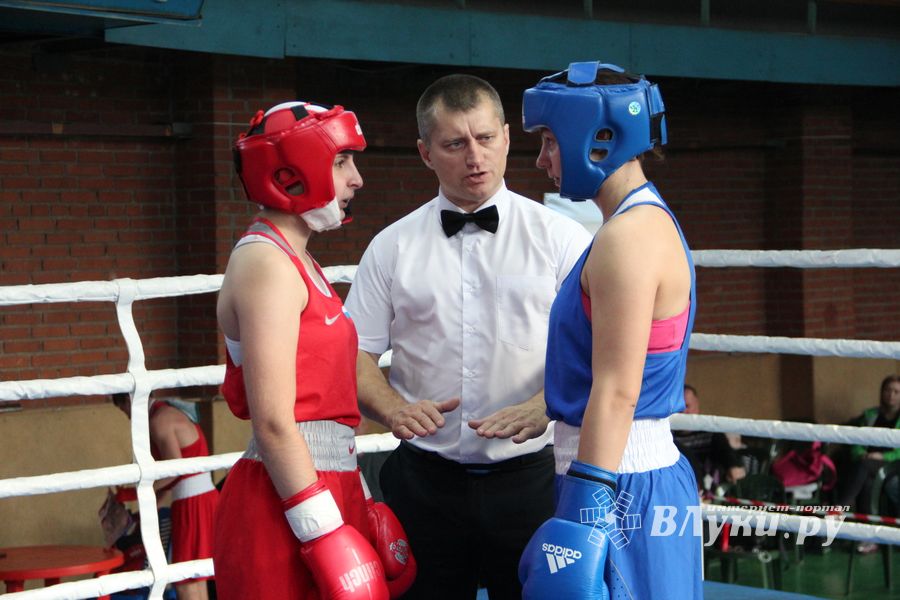 В Великих Луках прошел турнир по боксу памяти Е. Клевцова (ФОТО)