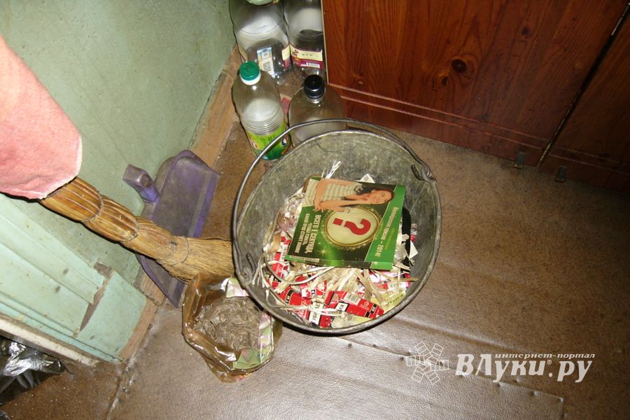 В Великих Луках на пожаре погиб мужчина (фото)