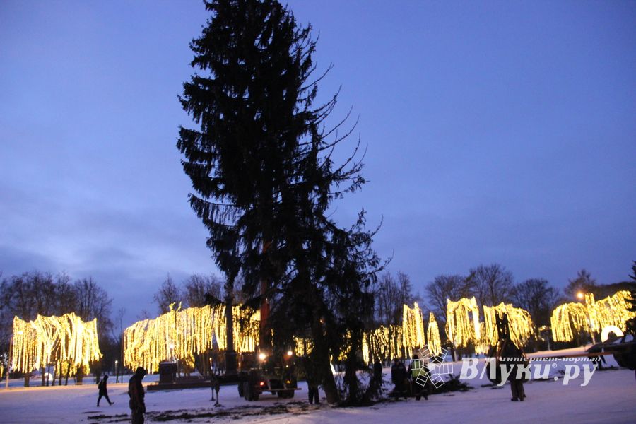 Новогодняя ёлочка приехала наконец в Великие Луки (ФОТО)