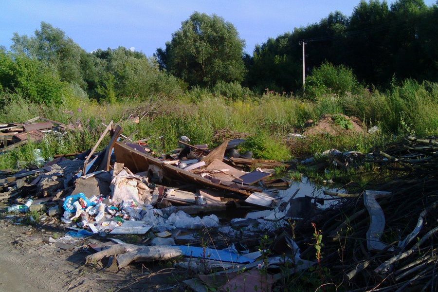 В Великих Луках, на берегу Лазавицы, сваливают кресты, венки и мебель (ФОТО)