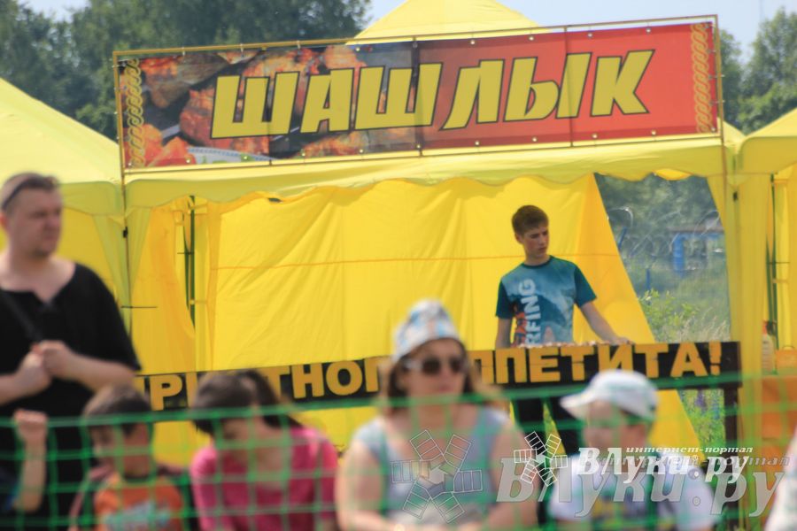 IV Фестиваль авиамодельного спорта России в классе радиоуправляемых моделей