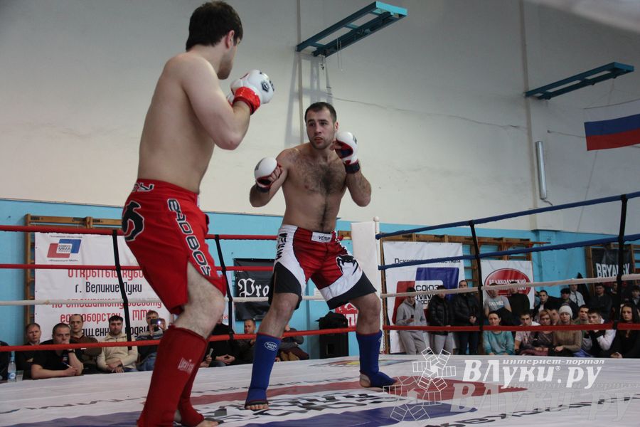 Открытый Кубок города Великие Луки по смешанному боевому единоборству (ММА)