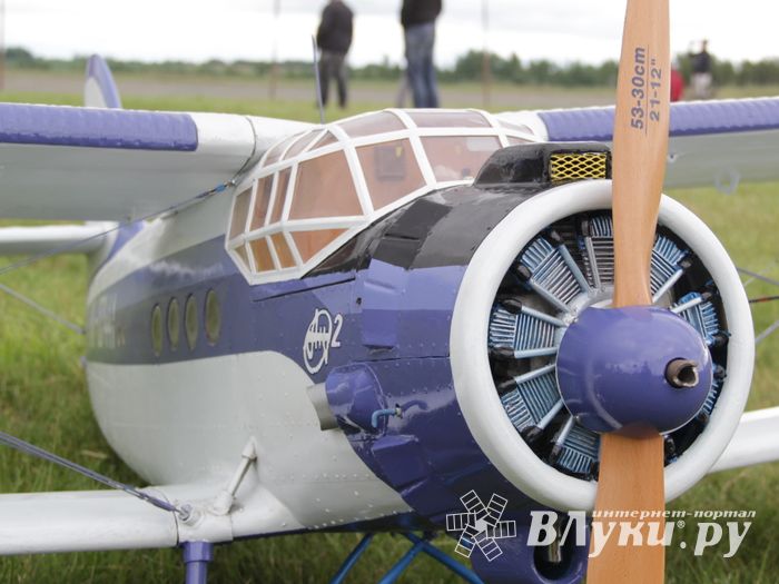 Чемпионат России по авиамодельному спорту в Великих Луках (ФОТО)