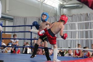 1-й Фестиваль боевых искусств состоялся в Великих Луках  (ФОТО)