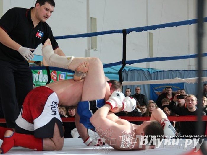 Чемпионат Псковской области по ММА