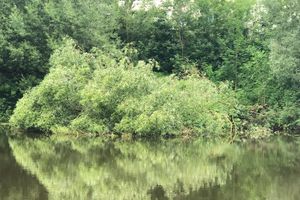 Фотофакт: застряла в плотине