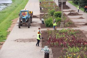 В Великих Луках сажают, стригут и красят (ФОТО)