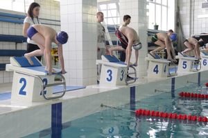 В Великих Луках прошли соревнования по плаванию «Быстрый Кашалот»