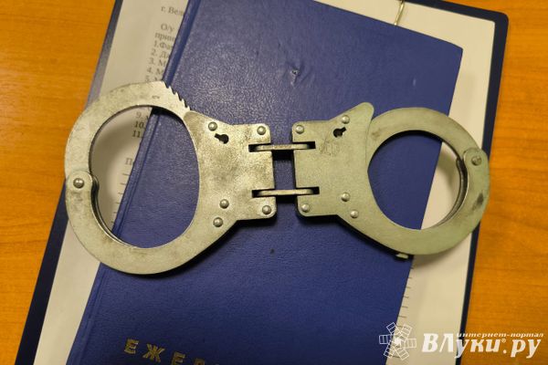 За грабеж бабушек мужчина отправится в колонию