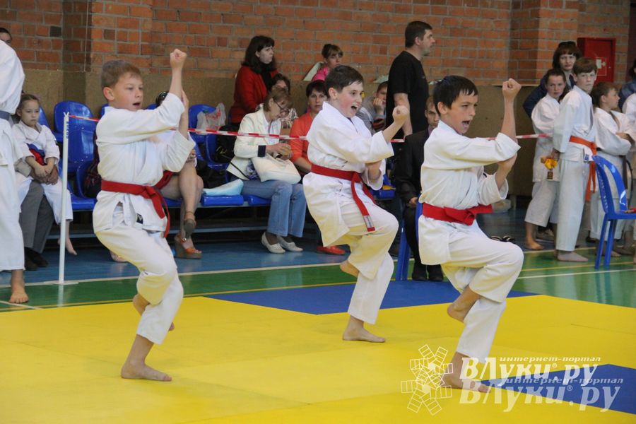 Великолучане стали победителями турнира по каратэ «Неприкосновенный запас, дети — Отчизны 2015» (фото)